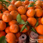 Mandalina