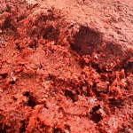 Biber Salçası (Tatlı)